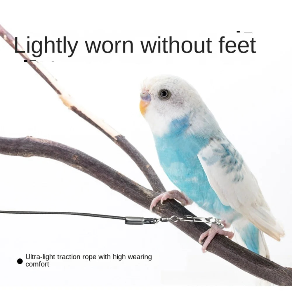 Elastic Parrot Training Leash – Metal Buckle Bird Foot Chain