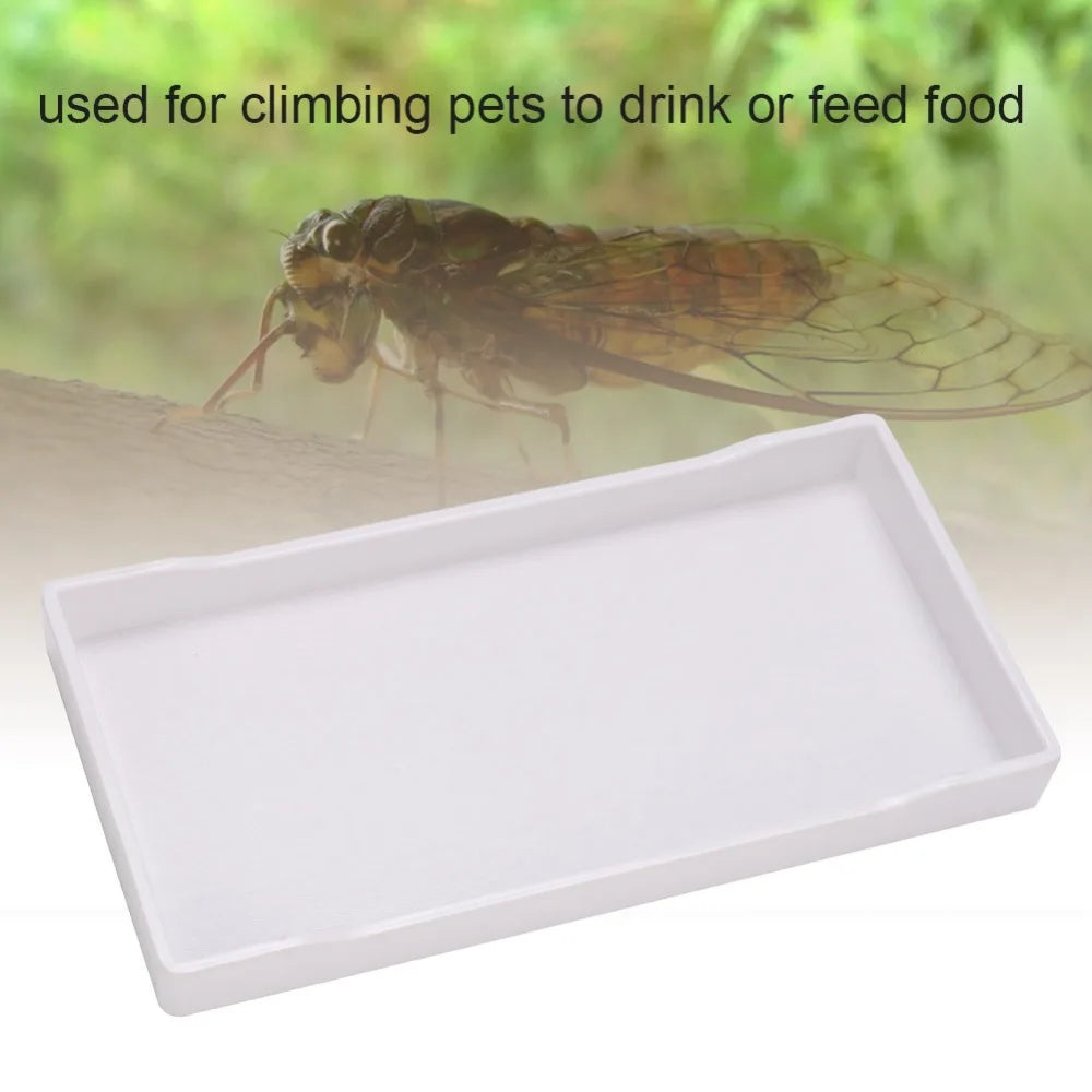 Reptile Feeding Dish – Large Anti-Slip Food & Water Tray