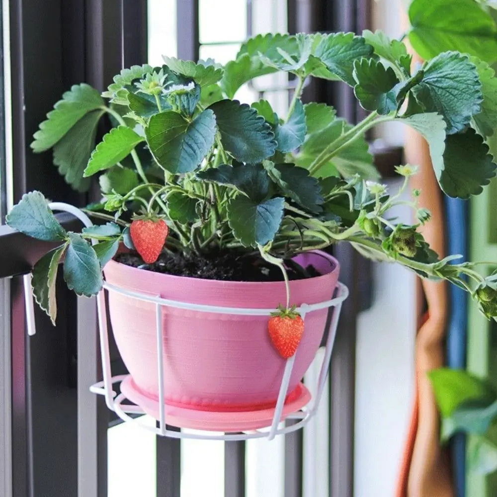 Iron Wall-Mounted Flower Pot Hanging Bracket | Balcony Stand