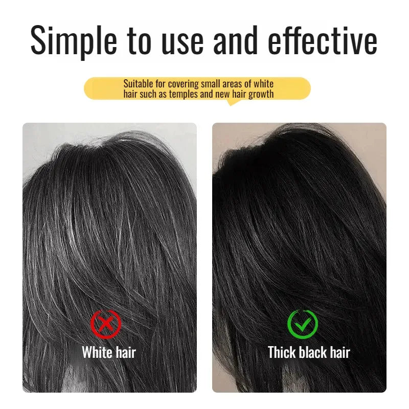 Temporary Hair & Beard Color Stick – Instant Touch-Up Pen