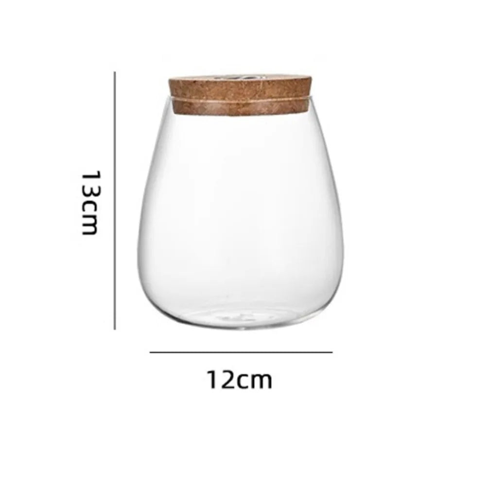 Glass Propagation Vase Rack – Tabletop Water Cultivation Planter