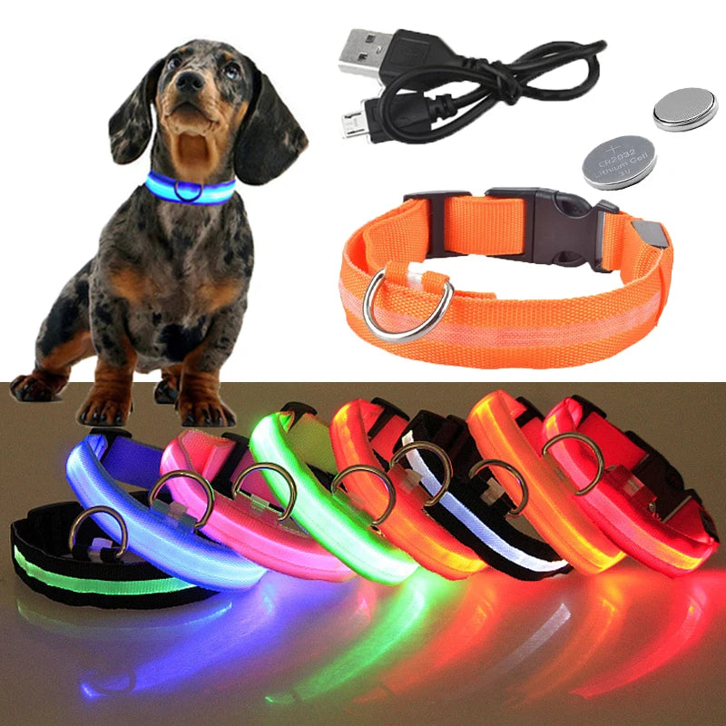 USB Rechargeable LED Dog Collar – Flashing Night Safety Glow