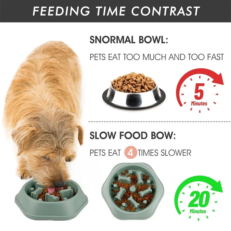 Slow Feeder Dog Bowl – Anti-Slip Puzzle Dish for Dogs