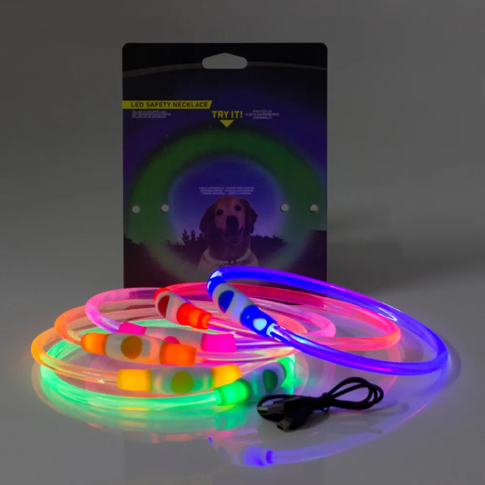 USB Rechargeable LED Dog Collar – Full Glow Night Safety