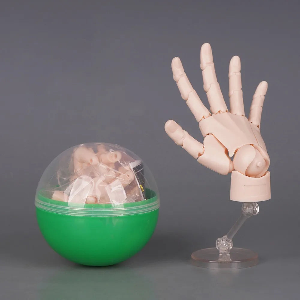 1:2 Scale Articulated Hand Model – Posable Fingers Art Figure