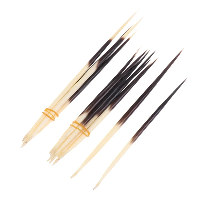 Natural Porcupine Quills – Hair Stick, DIY Crafts & Jewelry