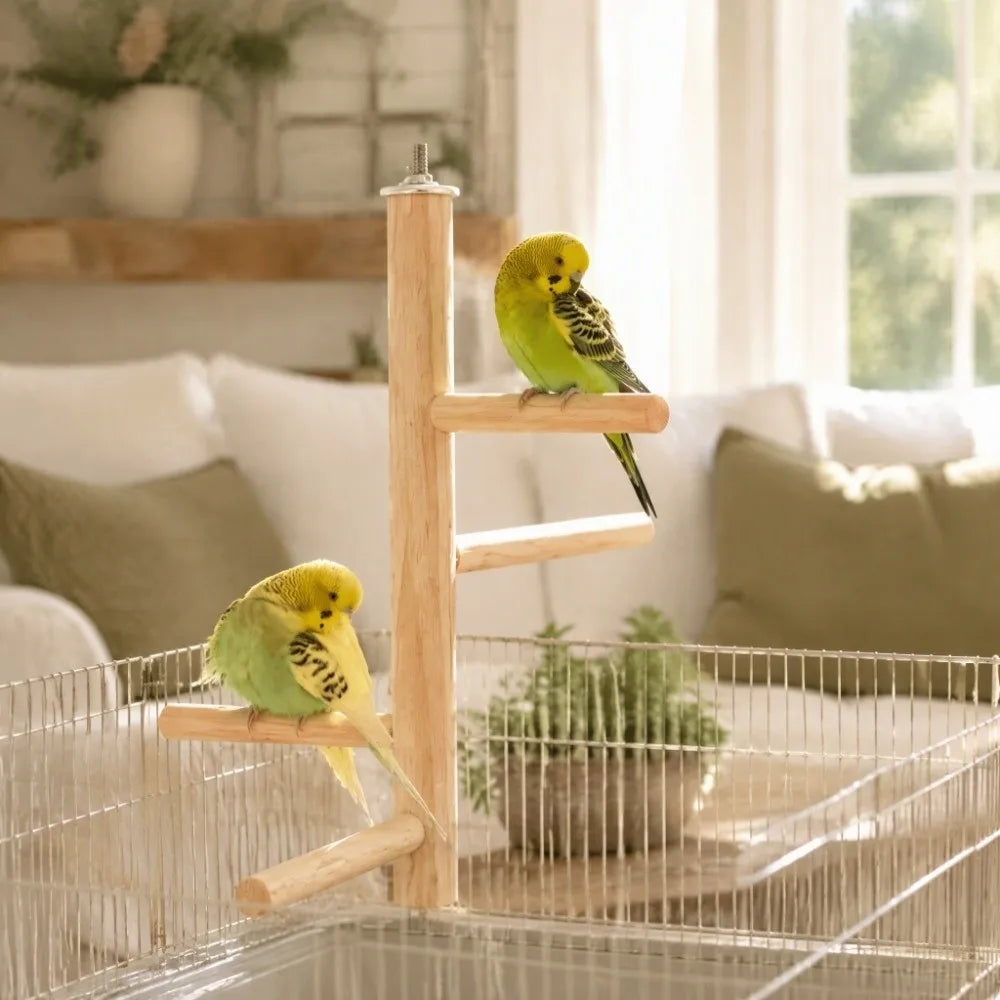 Wooden Multi-Branch Bird Perch Stand – Rotating Balls Parakeet