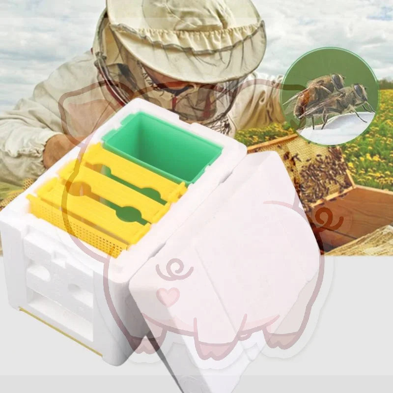 Queen Bee Mating Box – Foam Beekeeping Breeding Case