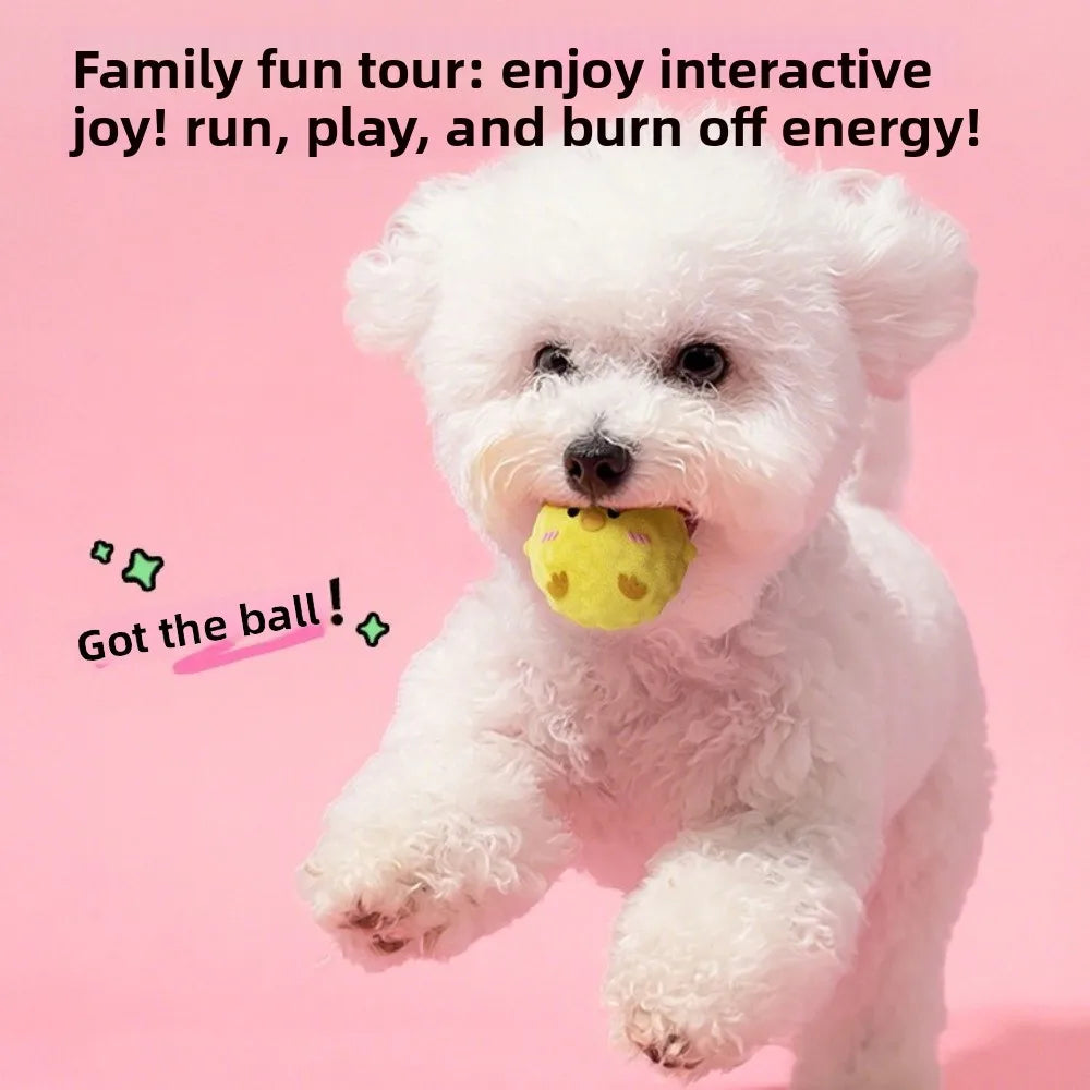 TPR Squeaky Dog Ball – Bite-Resistant Bee Chick Piggy Toy