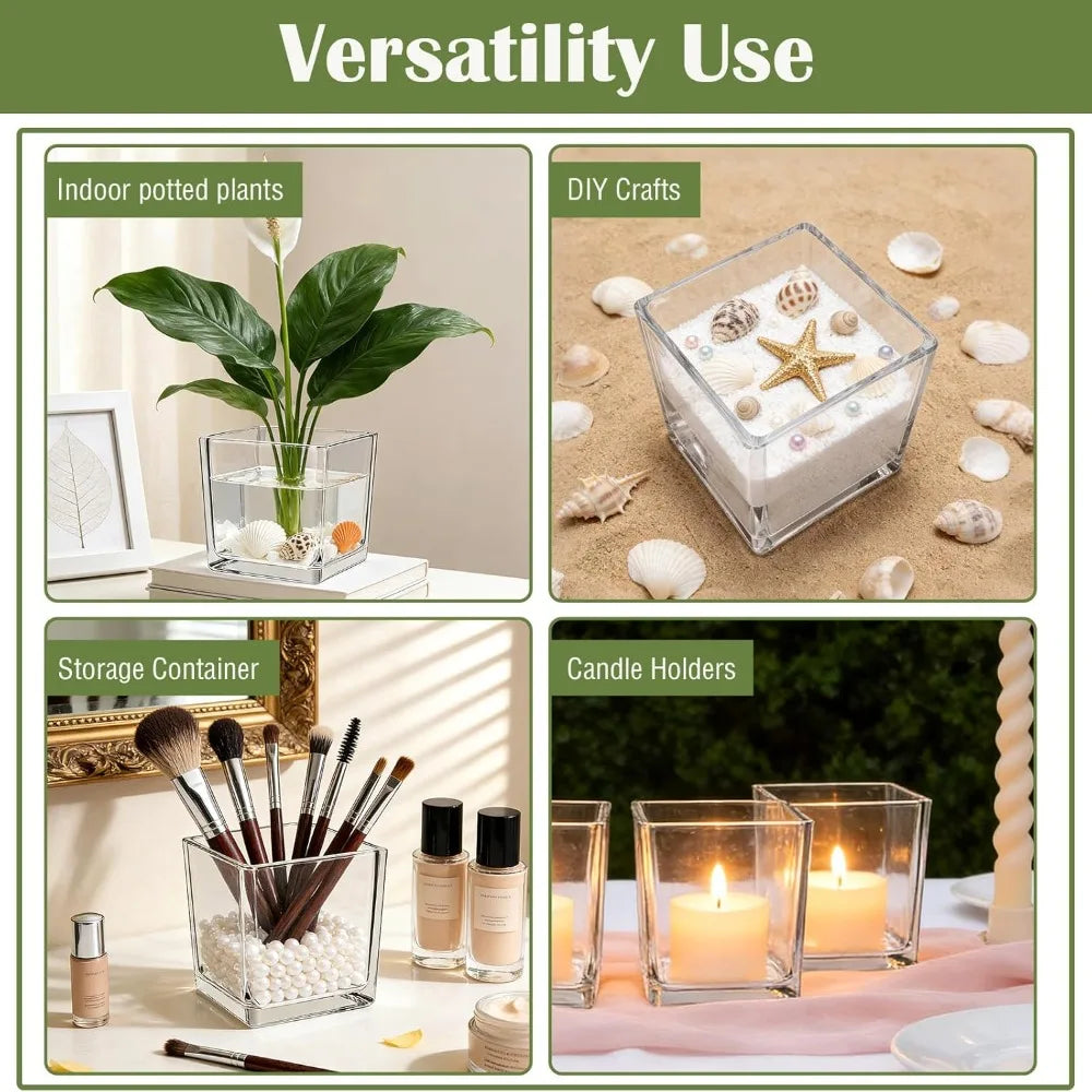 Transparent Square Glass Vase – Geometric Hydroponic Planter