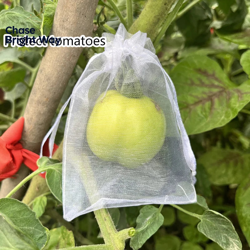 50-Pack Fruit Protection Mesh Bags – Bird & Pest Guard