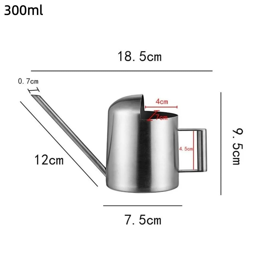 Stainless Steel Watering Can | Long Spout for Bonsai & Houseplants